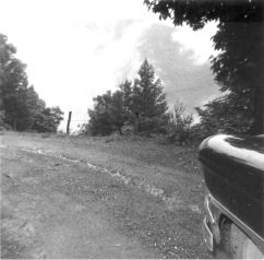 From the top of Wyatt's Mountain looking down to Bacon Hollow